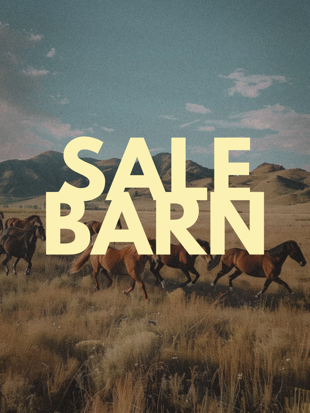 Sale Barn